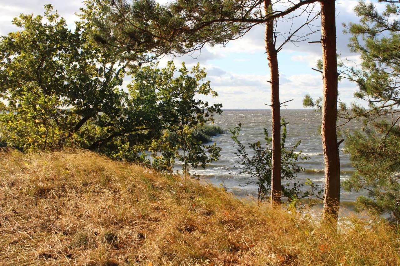 Ferienwohnung Sea Vogelsang-Warsin Esterno foto